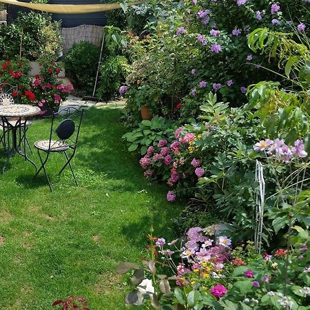 Rickenbach  Ferienwohnung Am Berg, 35Qm מראה חיצוני תמונה