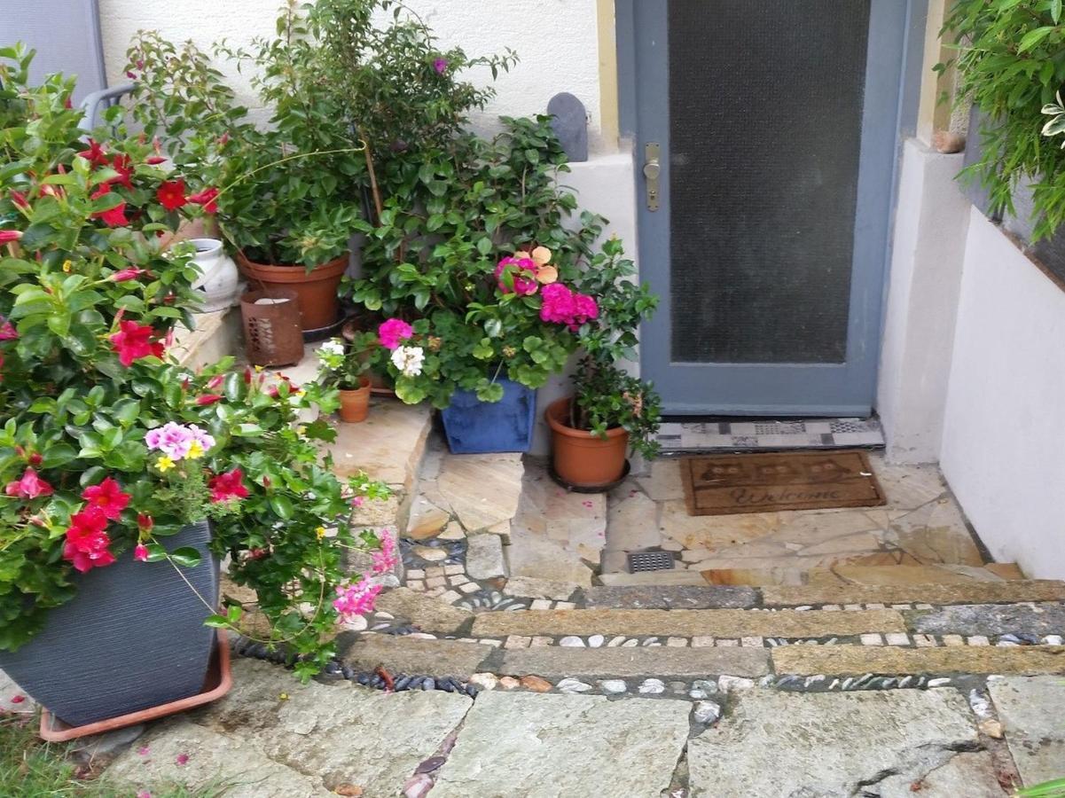 Rickenbach  Ferienwohnung Am Berg, 35Qm מראה חיצוני תמונה