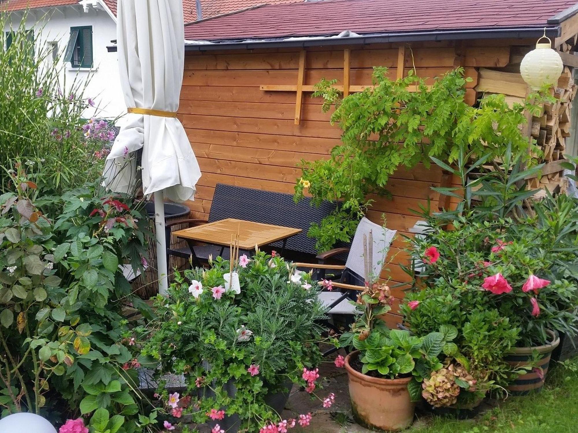 Rickenbach  Ferienwohnung Am Berg, 35Qm מראה חיצוני תמונה