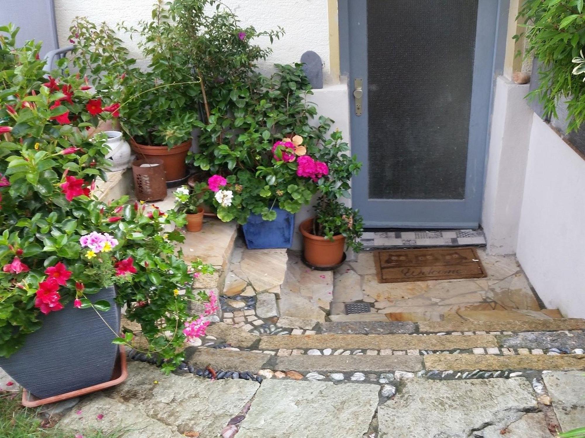 Rickenbach  Ferienwohnung Am Berg, 35Qm מראה חיצוני תמונה